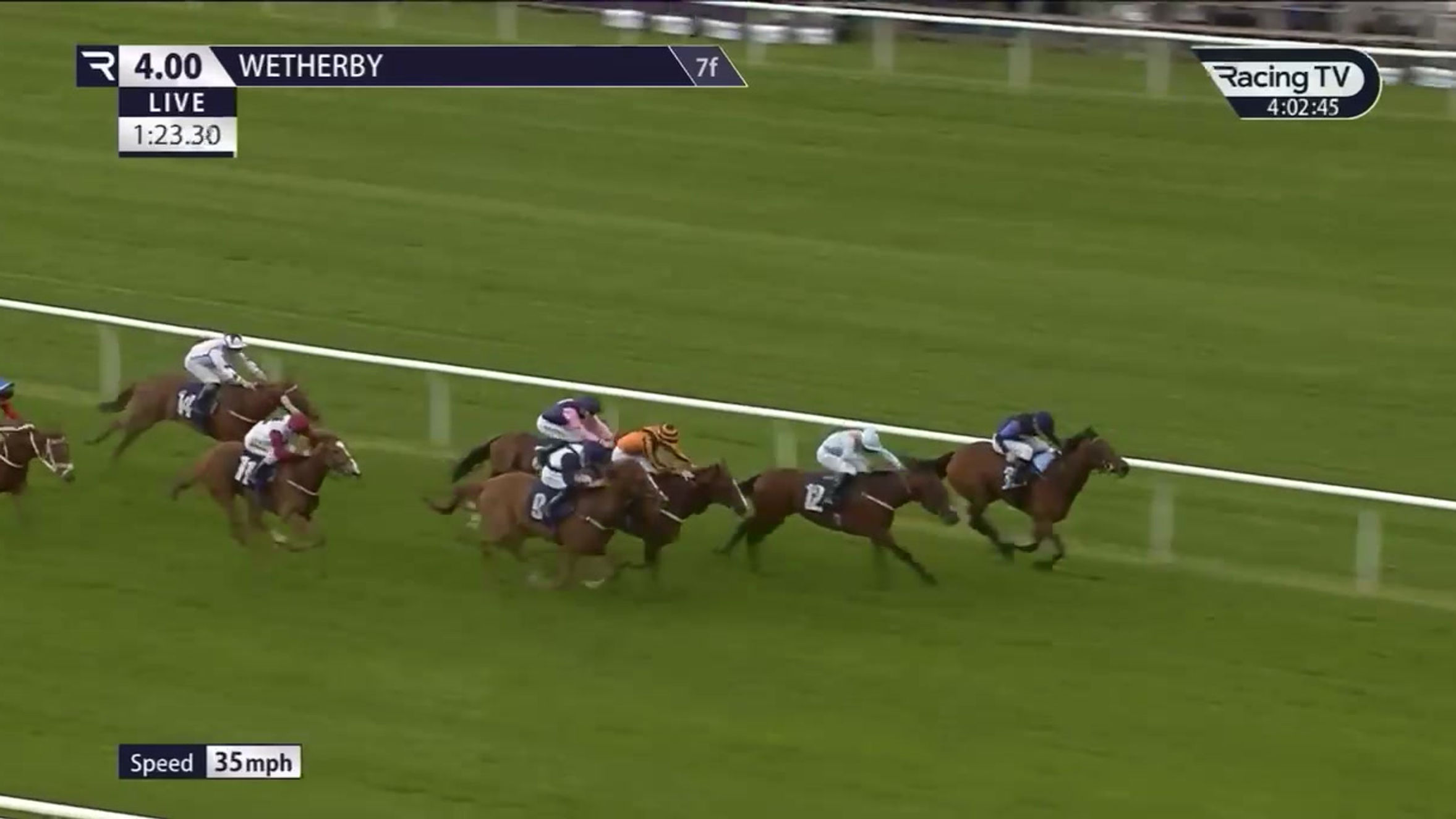 Profit Refused wins at Weatherby
